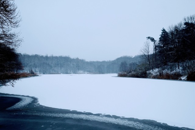 Intensywne opady śniegu spowodowały, że Poznań szybko pokrył się warstwą białego puchu. Zobacz, jak prezentuje się przyroda zasypana śniegiem na zdjęciach naszego fotoreportera.

Przejdź dalej --->