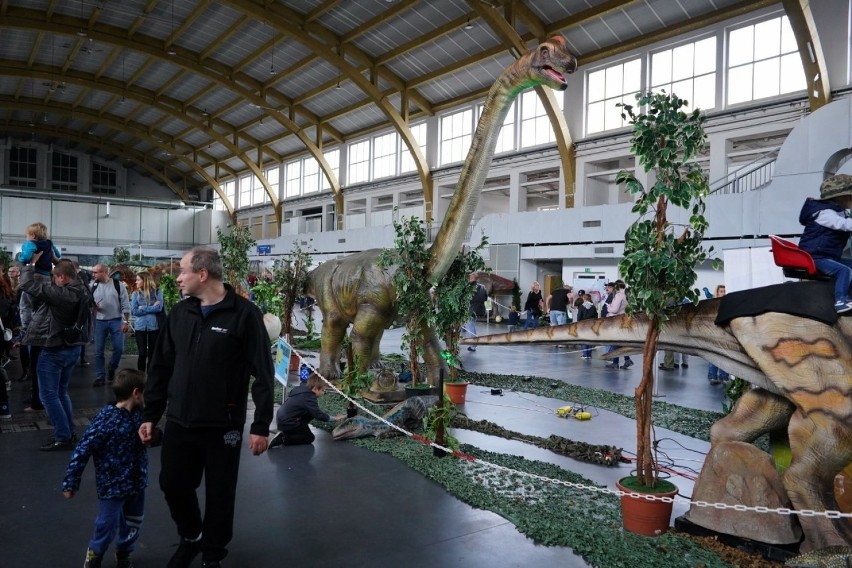 Poznań Dino Expo
