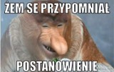 Komu są potrzebne do szczęścia postanowienia noworoczne? MEMY odpowiadają! Po co zmieniać doskonałe?