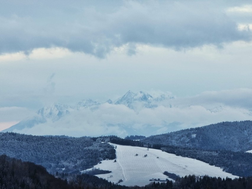 Ośnieżone Tatry widziane z Malnika w Muszynie