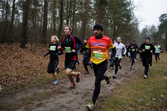 Maraton Kampinoski 2015. Pobiegną w sercu parku narodowego