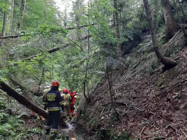 Wypadek w lesie w Godziszce. Mężczyzna został przygnieciony przez drzewo