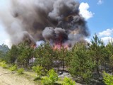 Z pożarem lasu w Olkuszu walczono przez blisko pięć godzin nie tylko z lądu, ale i z powietrza. Trwa dogaszanie pogorzeliska [ZDJĘCIA]