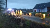 Skutki wichury w powiecie chodzieskim. Strażacy usuwali drzewa i konary z dróg