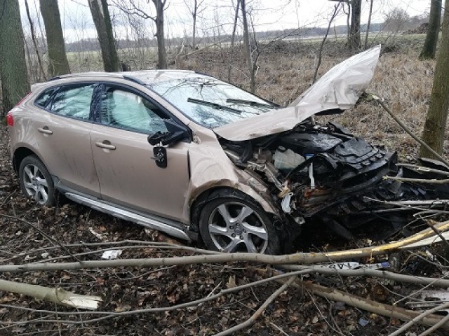 Volvo wypadło z drogi i uderzyło w drzewo. Kierowca miał sporo szczęścia, bowiem wyszedł z tego bez szwanku