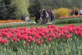 Ogród Botaniczny w Łodzi ma już 40 lat i hucznie obchodzi urodziny