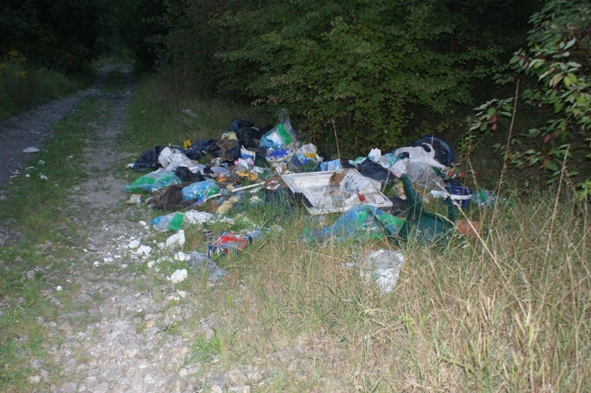 Bytom: Dzikie wysypiska śmieci. Miechowice i Żabie Doły przodują w rankingu
