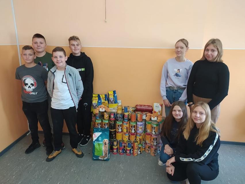 Młodzież z Broniszewic zorganizowała zbiórkę żywności dla psów z przytuliska w Czerminie