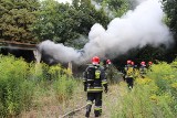 Pożar na ul. Nawrot w Łodzi. Ogień w opuszczonych garażach [ZDJĘCIA]