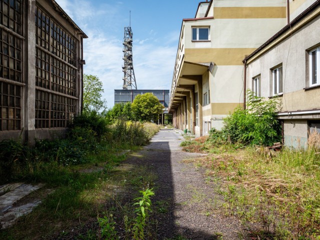 Tak dziś wyglądają budynki KWK Kazimierz-Juliusz w Sosnowcu

Zobacz kolejne zdjęcia/plansze. Przesuwaj zdjęcia w prawo naciśnij strzałkę lub przycisk NASTĘPNE