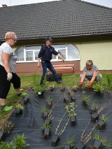 Ciekawy projekt mieszkańców miejscowości Kanin w gm. Postomino [ZDJĘCIA]