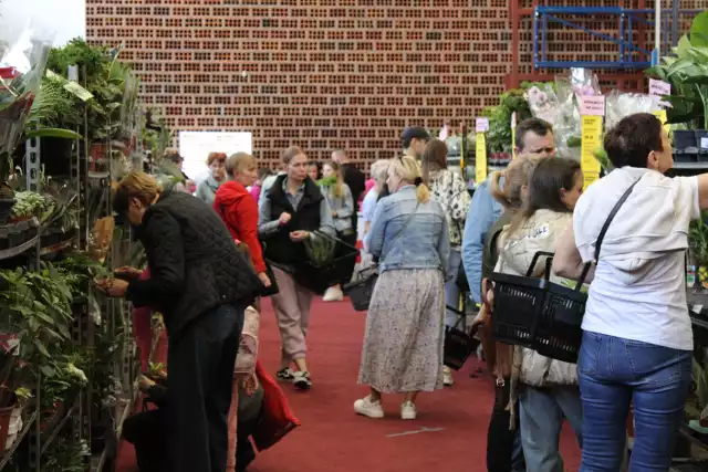 Festiwal Roślin w Kaliszu. Duży wybór kwiatów doniczkowych w hali OSRiR