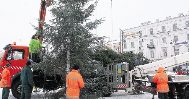 Jedna choinka stanęła przy pomniku Jana Pawła II