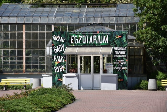 Tak obecnie wygląda sosnowieckie Egzotarium

Zobacz kolejne zdjęcia/plansze. Przesuwaj zdjęcia w prawo - naciśnij strzałkę lub przycisk NASTĘPNE