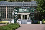 Są chętni do budowy nowego Egzotarium w Sosnowcu, ale miasto i tak musi dołożyć do tej inwestycji