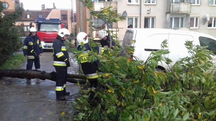 Orkan Grzegorz w powiecie malborskim nie był aż tak straszny. 11 interwencji strażaków