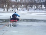 Sarna utopiła się w stawie