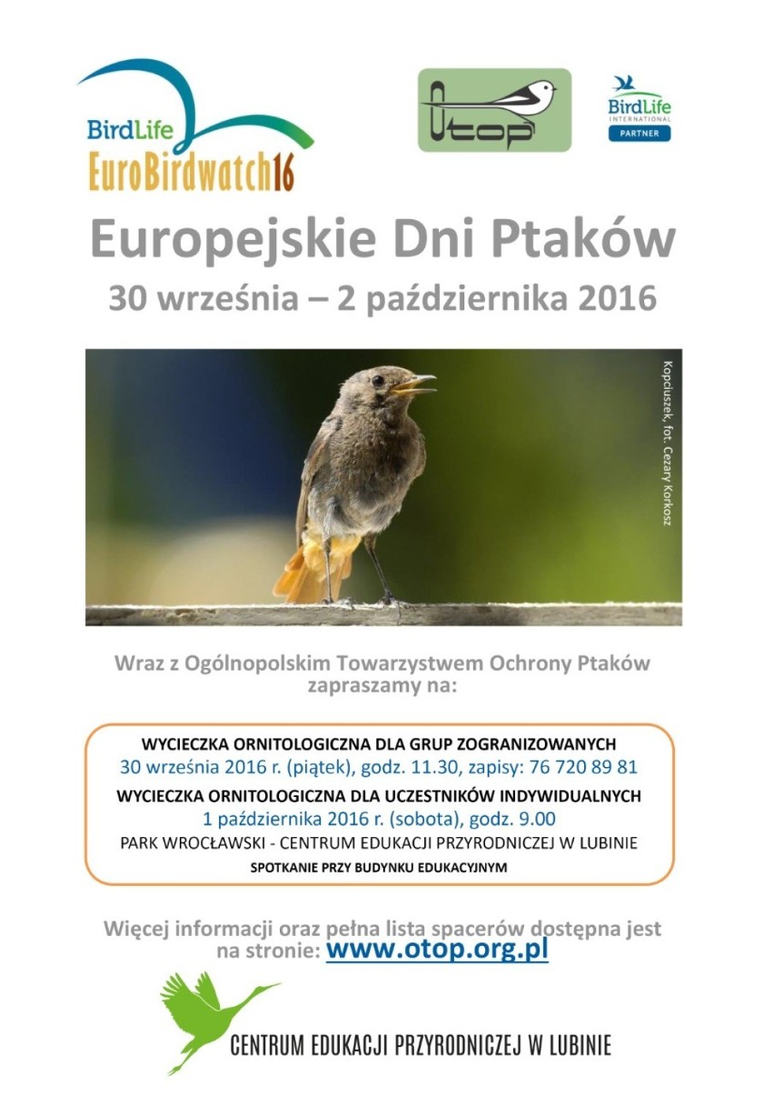 Park Wrocławski świętować będzie Europejskie Dni Ptaków. Dołączycie?