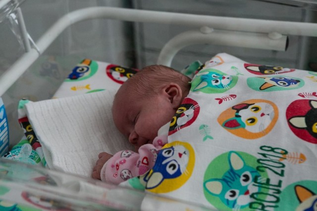 W Grudziądzu w 2020 roku nastąpił znaczny spadek zarejestrowanych aktów urodzeń. Wiele kobiet ze względu na pandemię i szpital "covidowy" rodziło dzieci poza Grudziądzem