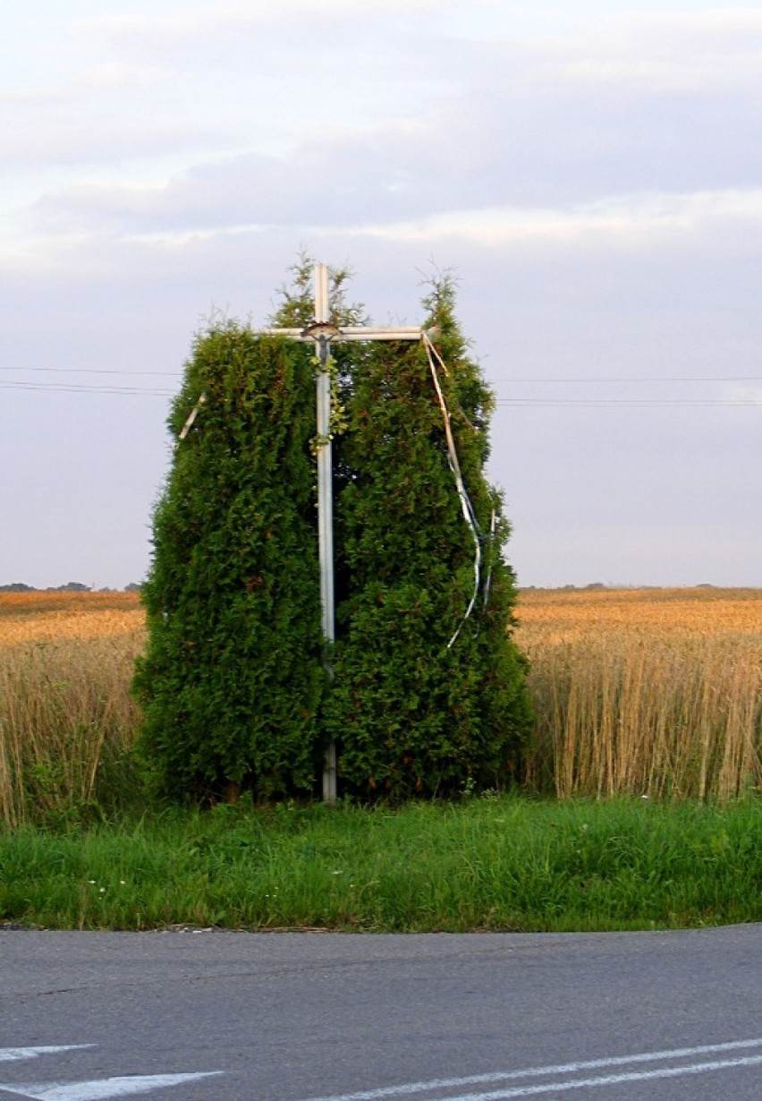 Krzyż przydrożny w Nasutowie