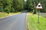 Zniszczone drogi w powiecie hajnowskim są naprawiane