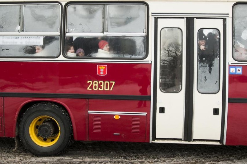 "Sentymentalny Ikarus" w Gdańsku. Historyczny przejazd czerwonym Ikarusem [ZDJĘCIA]