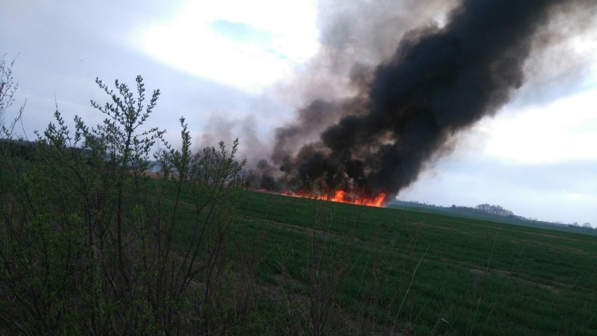 Pożar w Jezierzanach