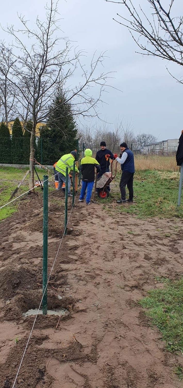 Gm. Szamotuły. Baborowo pięknieje! A wszystko za sprawą mieszkańców!