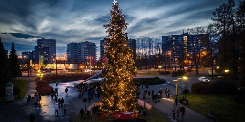 Park Śląski w świątecznej odsłonie. Warto wybrać się tu na...