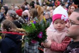 Niedziela Palmowa 2022 w Bytomiu. Święcenie palm to nieodłączny element tego święta. ZDJĘCIA