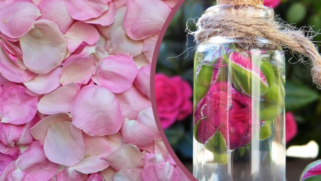 Chcesz pięknie pachnieć ulubionymi kwiatami z ogrodu? Zbierz płatki, zalej wodą. Przygotowanie domowych, delikatnych kwiatowych perfum jest banalnie proste.