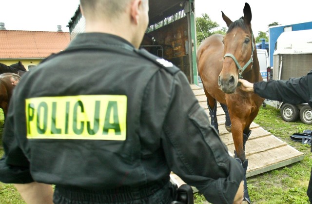 Policjanci w ostatnich dniach interweniowali z powodu zachowania dwójki jeźdźców na koniach pod Skokami