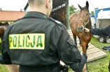 Pijani jeźdźcy na koniach pod Skokami. Interweniowała policja 