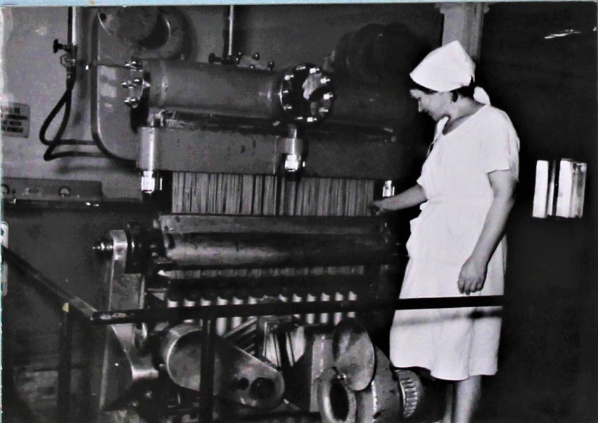Jedna z pracownic obsługujących maszynę w wytwórni makaronu, 1962 r.