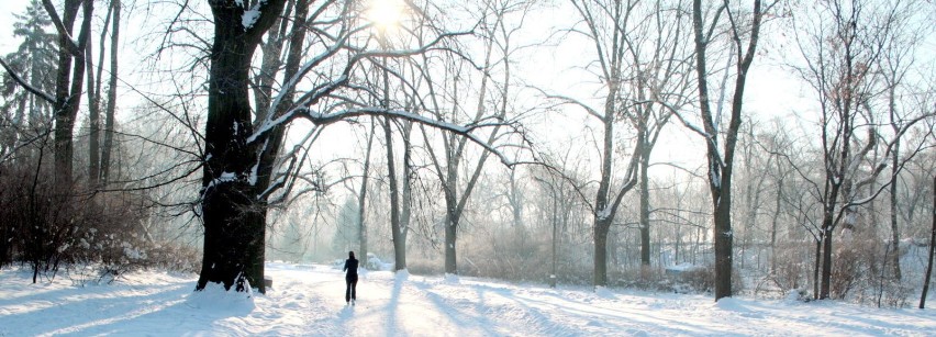 Park służy amatorom biegów. Odbywają się tu zawody w biegach...