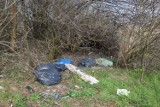 Dzikie wysypisko śmieci w Łęczycy. Burmistrz apeluje do mieszkańców
