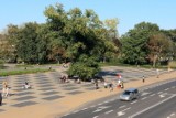 5 firm chętnych do projektowania placu Litewskiego