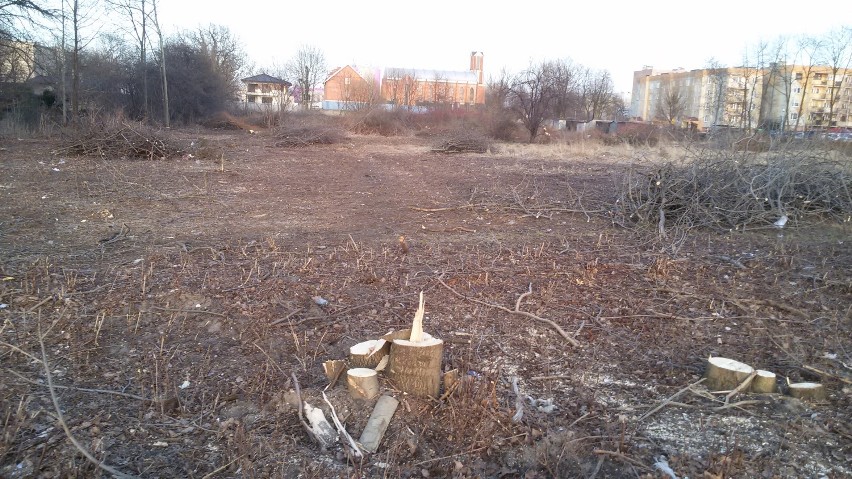 Wrzosowiak: Marzyli o parku, jednak drzewa wycięto w pień [FOTO]