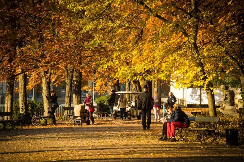 Położony na Żoliborzu park jest warty odwiedzenia. Główne...