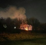 Pożar nad Wartą w Poznaniu. Spaliło się koczowisko bezdomnych. Nie żyje kobieta