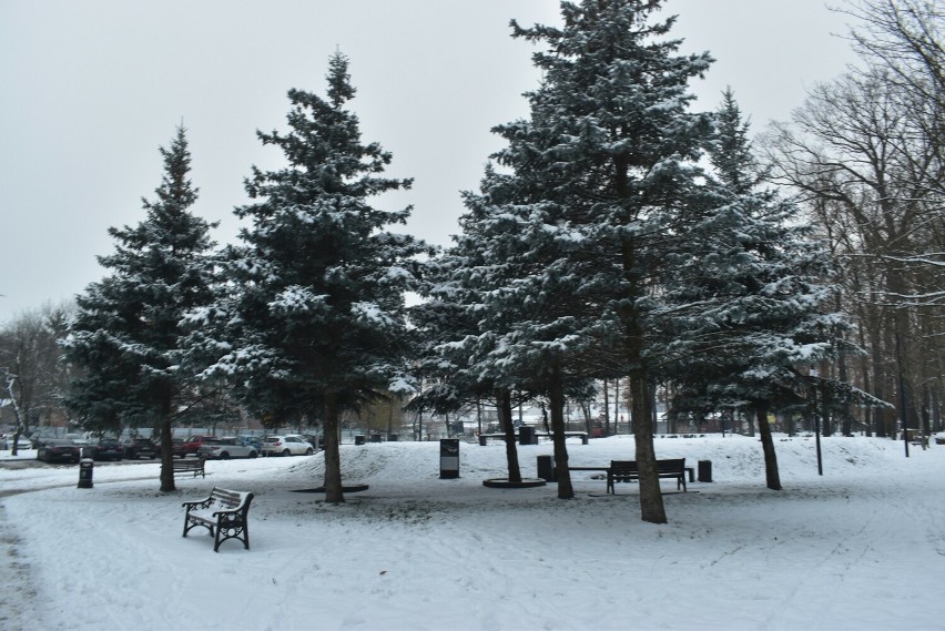 Park Tysiąclecia i promenada w śniegu. Tak wygląda Krosno...