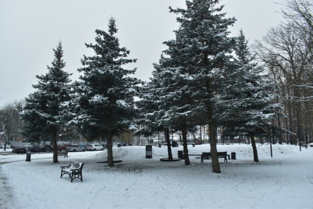 Park Tysiąclecia i promenada w śniegu. Tak wygląda Krosno Odrzańskie w zimowej oprawie.