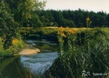 Rzeka Ruda w Rybniku Rzeką Roku. Szykuje się jesienny spływ