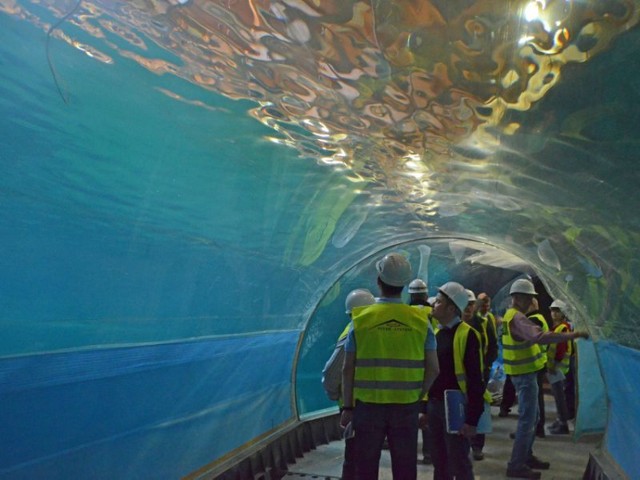 Oceanarium we Wrocławiu - największy basen przeszedł już próby szczelności