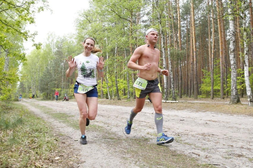 Bieg Łosia 2019. Biegacze ponownie rywalizowali w Puszczy Kampinoskiej [ZDJĘCIA]