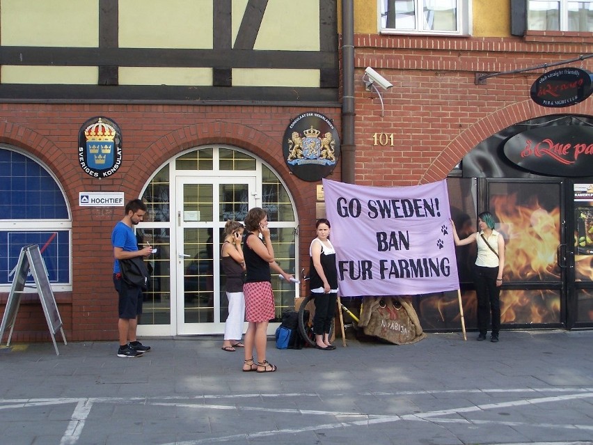 Walczą o prawa zwierząt futerkowych przed Konsulatem Honorowym Szwecji w Gdańsku
