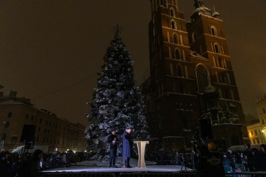 Na Rynku rozbłysło największe drzewko świąteczne w Krakowie. Świerk zdobi 26 tys. energooszczędnych światełek