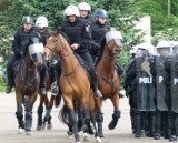 Egzamin dla koni policyjnych w Łodzi [ZDJĘCIA]