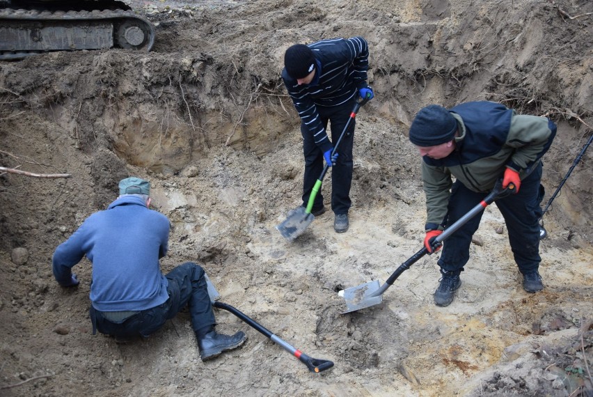 KROTOSZYN: Ekshumacja szczątków żołnierzy niemieckich na ulicy Ostrowskiej [ZDJĘCIA + FILM]