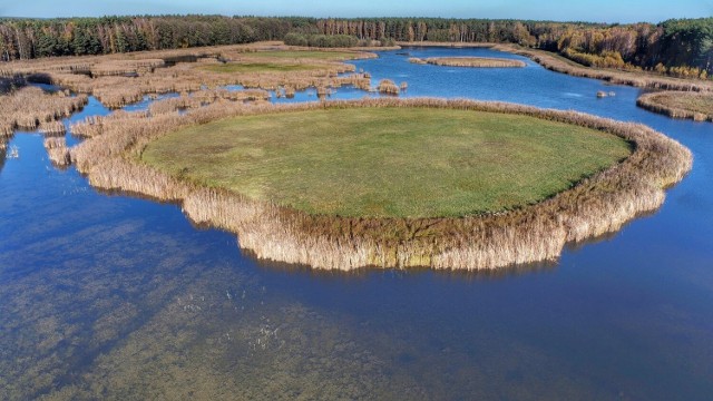 Jezioro zlokalizowane przy Trzcielu swoim nietypowym kształtem przypomina lecącego nietoperza. Na jego obszarze znajduje się aż dziewięć wysp. ZOBACZ ZDJĘCIA >>>